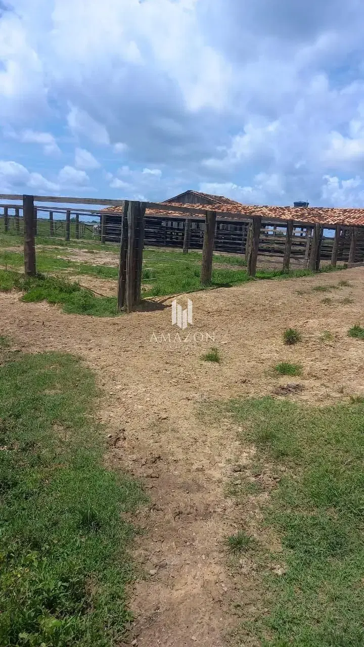 Venda, Fazenda Triunfo, Cachoeira do Arari, Marajó-PA - Imagem 1